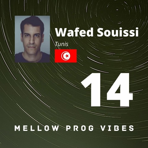 Mellow Prog Vibes 14