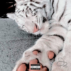 blond - tiger (prod. me)