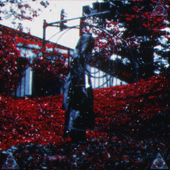 Fall into Radio