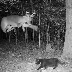 TRAILCAM UKG - speed garage/bass set ekyuu b2b px