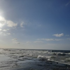 ما نسمعه أنا وفدفد ونحبه