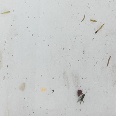 This Is What I Found