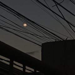 Untitled_2025_03_29.wav