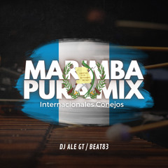Marimba Pura Mix (Internacionales Conejos) - DJ Ale GT