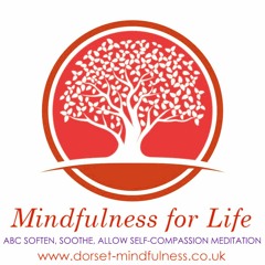 Soften Sooth Allow Self-compassion Meditation (with Grounding Support)