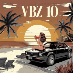 vbz10