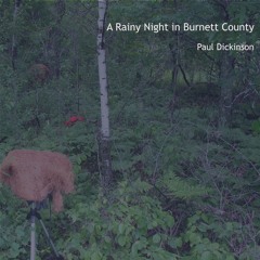 A Rainy Night In Burnett County