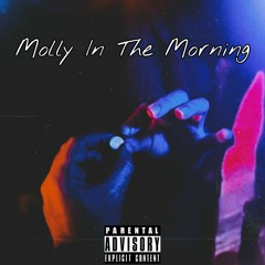 leonarc0 ~ Molly In The Morning ft. Peter Travis (Prod. Paryo)