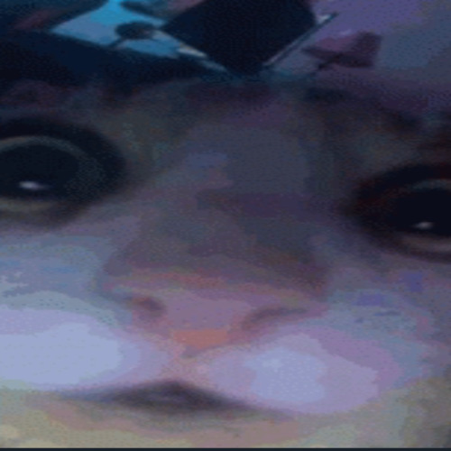 did i make this