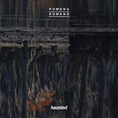 The Town That Dreaded Sundown