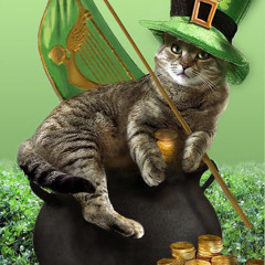 Tomcat. X Leprekhan - Get it Started