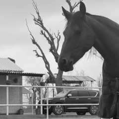 - حلو واحب اسلوبه