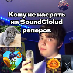 улитка боб лоботомия