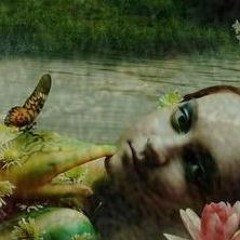 the pond was a mirror