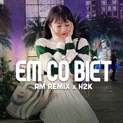 Em Có Biết (AM Remix)
