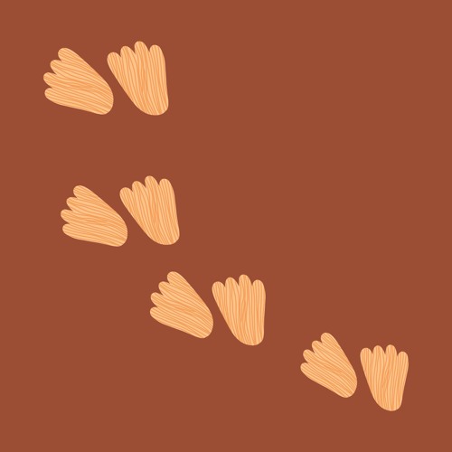 Lawrence Walther x vhskid. - Footsteps on a Path