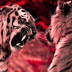 "Tigres" - Type | BoomBap Orquestral | 🐯