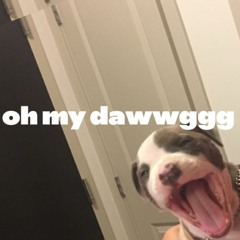 Oh My Dawwg