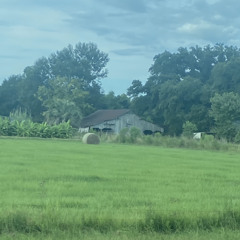 mattress w/ dylan longworth (9anyal)