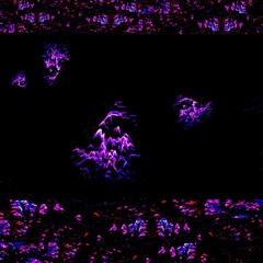 Sorry About Everything