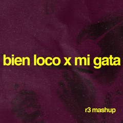 BIEN LOCO X MI GATA (TOMA TUSSI) - Standly ft El Barto (R3 Mashup) FREE DOWNLOAD