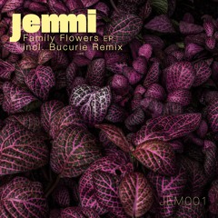 PREMIERE: Jemmi - Camelia (Bucurie Remix)