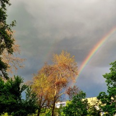 Rain and Thunder in Ljubljana (Binaural)