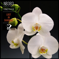 Yanis Pavlik - Lost in Shadows (Original Mix)