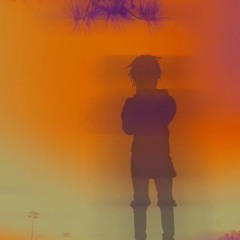 Hoes loves niggas with money