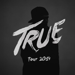 Avicii - True Tour (Polygoneer Remake)