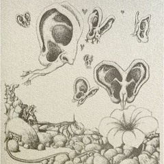 Auricle