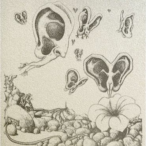 Auricle
