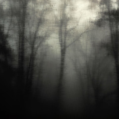 𝚏̷𝚘̷𝚛̷𝚐̷𝚎̷𝚝̷𝚊̷𝚐̷𝚊̷𝚒̷𝚗̷ ~ 𝚡̷