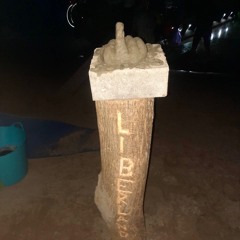 Biting the Bullet - Onwards and Upwards