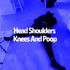 HEAD SHOULDERS KNEES AND POOP