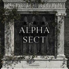 MMP080 - ALPHA SECT - META MOTO PODCAST