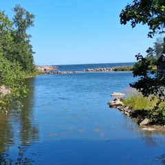 ✨ “Sunrise Freedom” – Reggae Song ✨