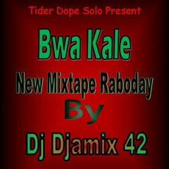 NEW MIXTAPE (BWA KALE) BY DJ DJAMIX42.mp3