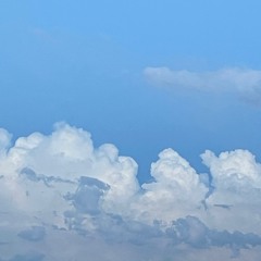 No Oxy prod. bitasik