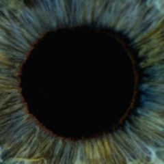 Excentricity (Original Mix)