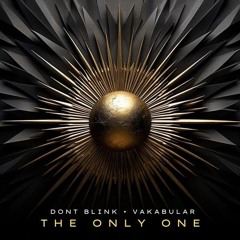 DONT BLINK & Vakabular - THE ONLY ONE