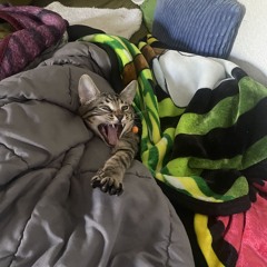 VIBERYYY🌌🌠🏄🏽‍♂️