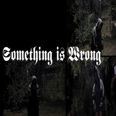 SOMETHING IS WRONG.