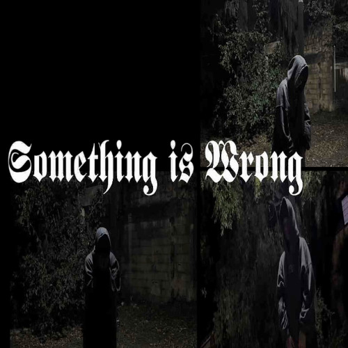 SOMETHING IS WRONG.