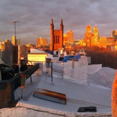 Cobble Hill Rooftop Memories