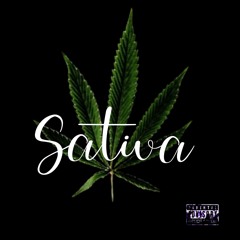 Sativa