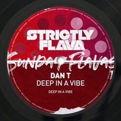 DAN T - Deep In A Vibe