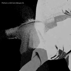 Plethoric-a B2B Cami Márquez 01