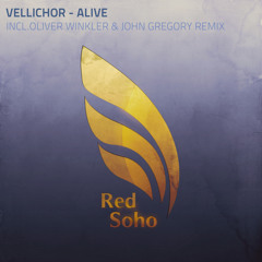 Vellichor - Alive (Oliver Winkler Extended Remix)