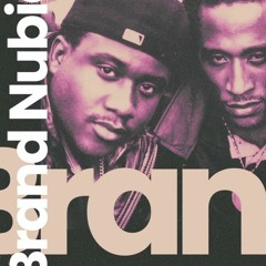 Militant Vinylist | Brand Nubian Mixtape
